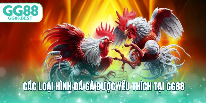 Các loại hình đá gà được yêu thích tại GG88